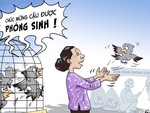 Vòng đời của những chú chim phóng sinh