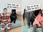 Phản ứng hài hước của chú chó khi bị chủ troll