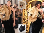 Nhà thiết kế "ú òa" đầu sư tử trên sàn diễn, khán giả nổi điên vì quyền động vật