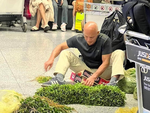 Ảnh vui 4-12: Anh Tây lặt rau muống giữa sân bay