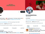 Blackpink, Lady Gaga... bị Twitter 'thổi bay' vì quên trả phí