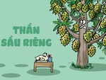 Nông dân vái 'thần' sầu riêng