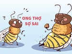 Chú ong thợ sợ làm sai