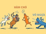 'Hàm chó vó ngựa' và 'nó hiền lắm'