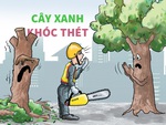 Cây xanh đô thị khóc thét vì style đầu đinh