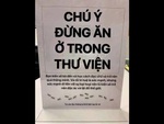 Ảnh vui 20-3: Cho kiến ăn trong thư viện là một tội ác