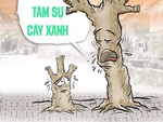 Cây xanh... đứt bóng, chẳng giúp ích gì cho đời