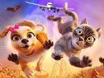 Hoạt hình khi chó và mèo hợp tác thực hiện 'nhiệm vụ bất khả thi'