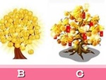 Quiz: Cây tiền vàng tiết lộ điểm mạnh của bạn