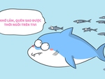 Bài học thiết thực từ cá mập hay nói đạo lý