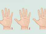 Quiz: Đường chỉ tay tiết lộ bạn hướng nội hay hướng ngoại?