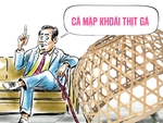Cá mập khoái thịt gà