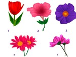Quiz: Chọn một bông hoa để biết người ấy có yêu và đang nghĩ về bạn