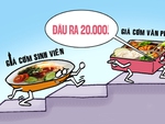 Cơm sinh viên 20.000 đồng đã 'tuyệt chủng'?