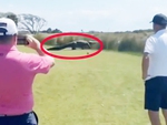 Cá sấu khổng lồ thản nhiên 'catwalk' trên sân golf