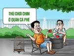 Mang loài chim này ra quán cà phê không cần trình giấy tờ