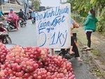 Thử tài tinh mắt: Nho Ninh Thuận giòn ngọt 5.000 đồng/kg