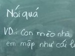 Ảnh vui 11-6: Dùng biện pháp nói quá để tả con mèo