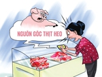 Truy xuất nguồn gốc thịt heo chưa làm người dân thật sự yên tâm