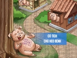 Cổ tích về chú heo bệnh 'không sợ trời cũng chẳng sợ đất'