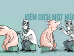 Kiểm dịch động vật: Chú heo bị bệnh... một nửa!
