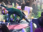Mẹ chú rể rủ hội bạn biểu diễn yoga ở đám cưới con trai