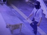 Mang chó cưng cùng đi cướp, thanh niên Thái 'vui được đúng 2 ngày'