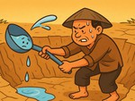 Câu thành ngữ nói về sự nỗ lực cố gắng này là gì?