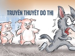 Truyền thuyết đô thị: Những chú heo mang nốt viêm đỏ