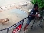 Thấy thanh niên to khỏe, chú chó không dám tặng '3 mũi 900.000 đồng'