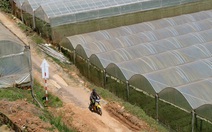 Ông Trương Gia Bình: 'Vốn thường đưa vào nhà giàu chứ không đưa vào nhà nghèo'