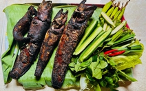 Về miền Tây nướng cá lóc đồng