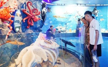 Khám phá không gian sinh vật đại dương dưới độ sâu đến 6.000m ở Nha Trang