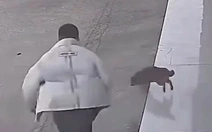 Chàng trai 'vồ ếch' vì hù dọa chó