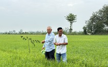 'Tỉ phú hai lúa' miền Tây gửi gắm kỳ vọng vào Đại hội Đảng XIV