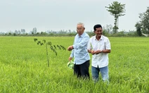 'Tỉ phú hai lúa' miền Tây gửi gắm kỳ vọng vào Đại hội Đảng XIV