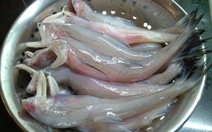 Toát mồ hôi với cháo cá khoai