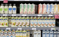 Dùng sữa thực vật thay sữa động vật làm giảm chỉ số IQ của người uống?