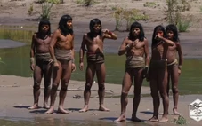 Nạn phá rừng, buôn ma túy đang ‘bức tử’ bộ lạc chưa từng tiếp xúc thế giới?