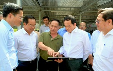 Rộn ràng chuẩn bị 'mùa xuân trên TP.HCM'