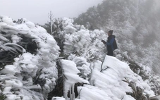 Giữa tuần tới, miền Bắc mưa, rét đậm