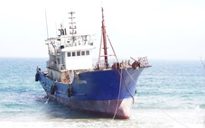 Tàu có chữ Trung Quốc mắc cạn ở Dung Quất: Có đơn vị ở Trung Quốc nhận là chủ tàu