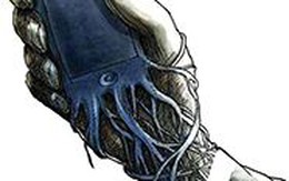 SỢ... MẤT DẾ, BỊ TỐNG RA RÌA!