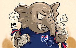 Phỏng vấn anh Voi chiến:  “Ai mà muốn ăn mì cay lẩu Thái…”