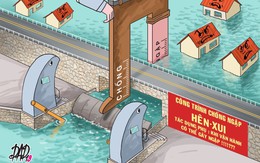 Bạc Liêu: Cống chống ngập hên xui