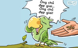 Chuyện tào lao: Ông chủ đẹp giai!