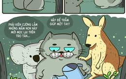 Những mầm non kiên cường sau cháy rừng Australia