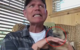 Paul Bettany muốn chứng minh vuốt ve làm giảm stress, chó cưng làm ngược lại