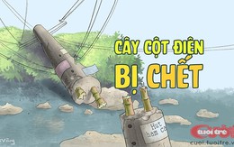 Cây cột điện bị "chết" và sự độc ác của lời nói