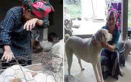 Cụ bà khóc nức nở khi bán chó cưng được nam thanh niên mua tặng lại bà